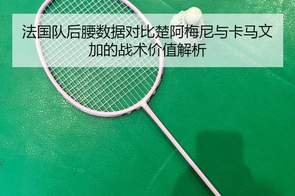 法国队后腰数据对比楚阿梅尼与卡马文加的战术价值解析