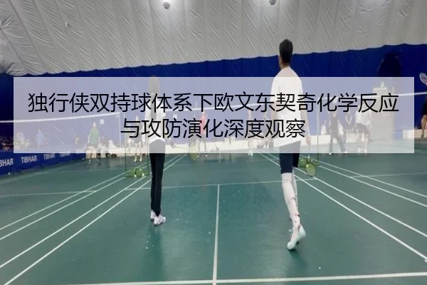 独行侠双持球体系下欧文东契奇化学反应与攻防演化深度观察